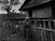 インドネシア スンバワ島／札幌のカメラマン 米山ヒトシ