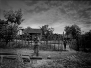 インドネシア スンバワ島／札幌のカメラマン 米山ヒトシ