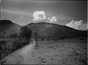 インドネシア スンバワ島／札幌のカメラマン 米山ヒトシ