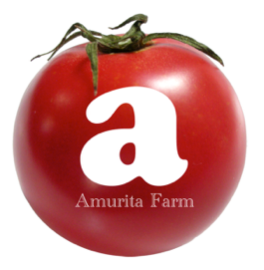 アムリタファームの塩トマト